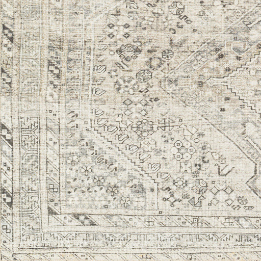 Amelie Rug - AML2379 - Ivory/Gray