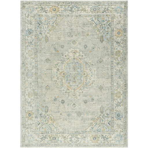 Avellino AVL-2316 Rug- Beige, Teal, Gray
