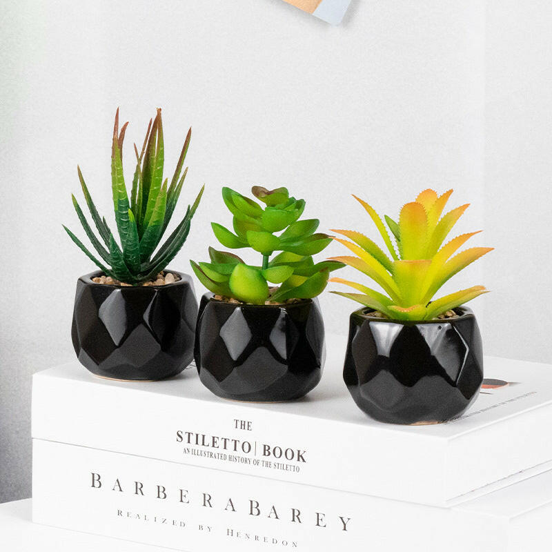 Artificial Stimulated Succulent Pot
