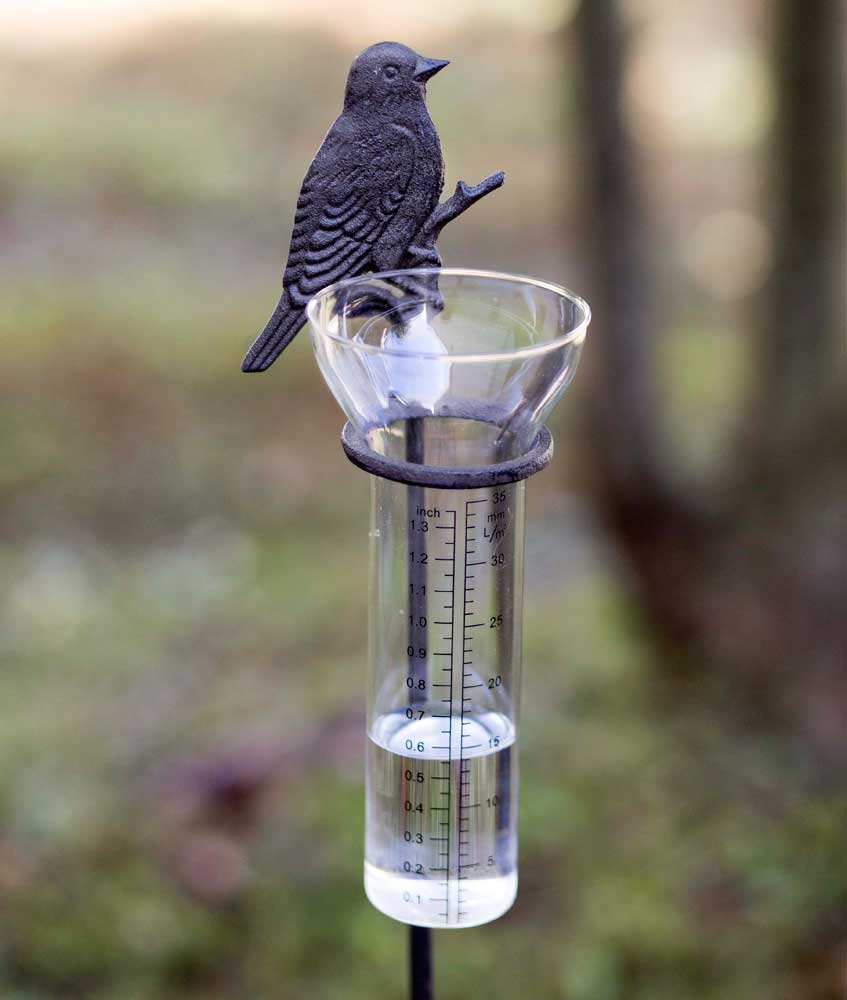 Song Bird Rain Gauge Garden Stake