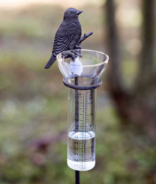 Song Bird Rain Gauge Garden Stake