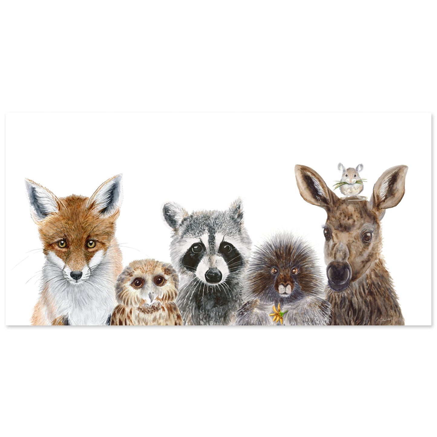 Woodland Animal Nursery Decor - Panoramic Baby Room Print