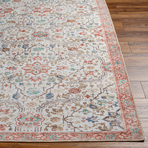 Amelie Rug - AML2365 - Gray/Coral/Blue