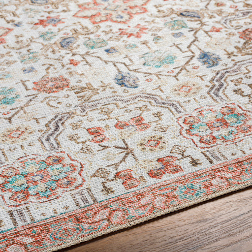 Amelie Rug - AML2365 - Gray/Coral/Blue