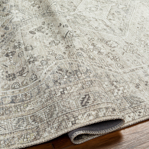 Amelie Rug - AML2379 - Ivory/Gray