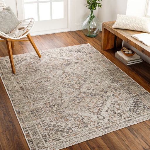 Amelie Rug - AML2383 - Ivory/Peach/Slate
