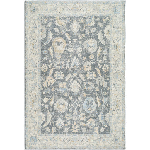 Avellino AVL-2305 Rug-  Beige, Blue