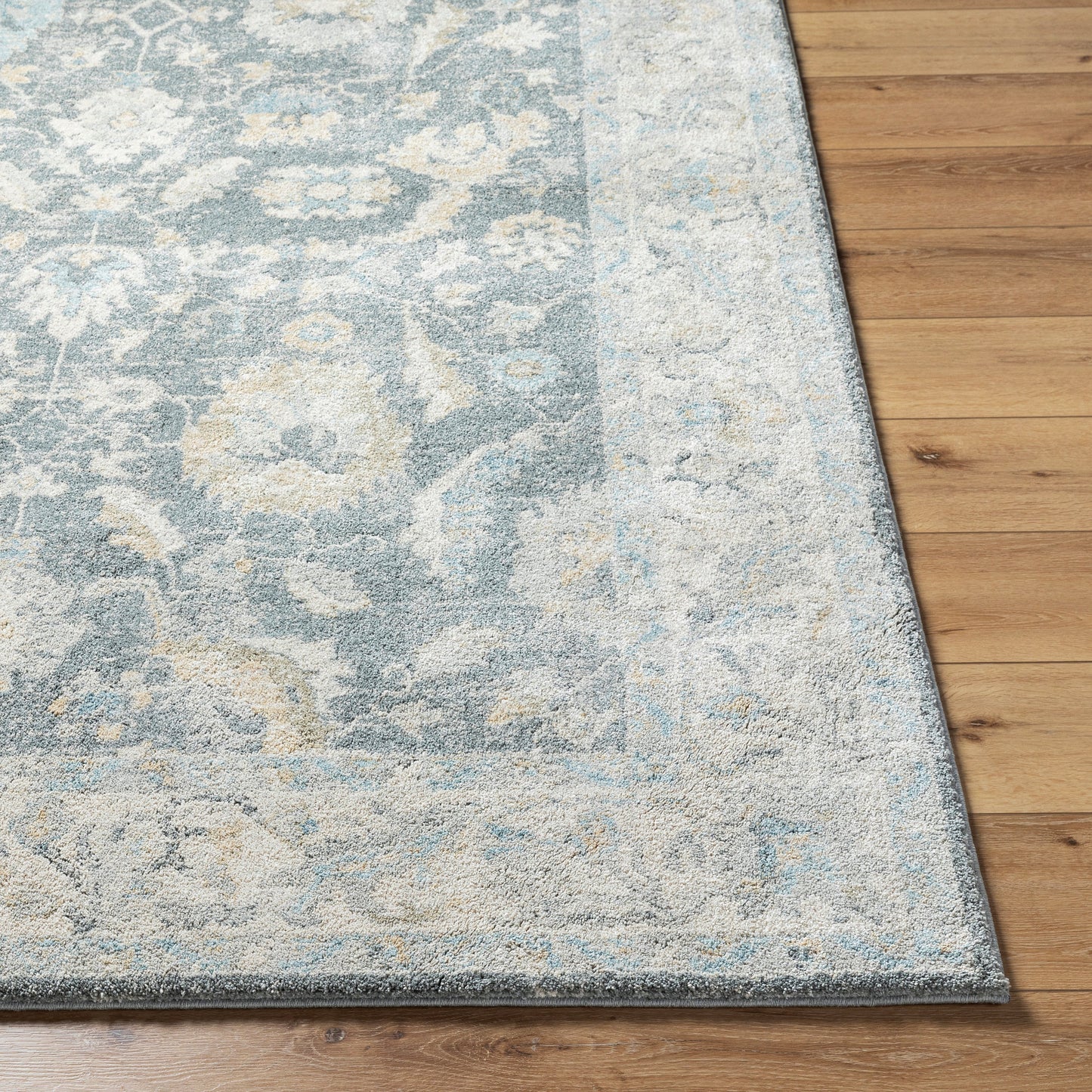 Avellino AVL-2305 Rug-  Beige, Blue