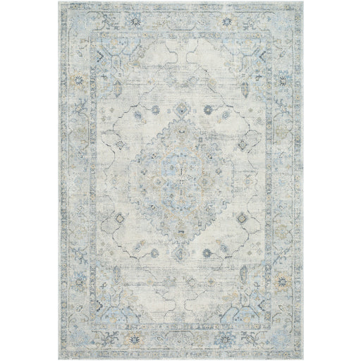 Avellino AVL-2314 Rug-  Beige, Blue, Gray