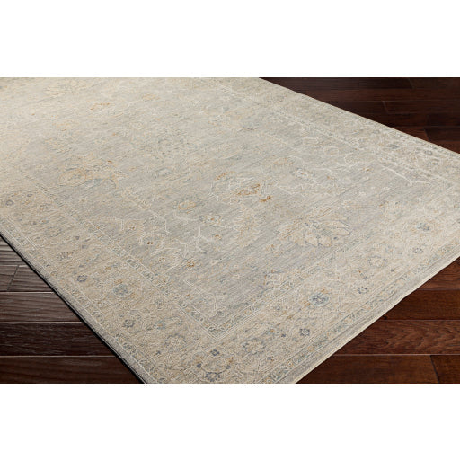 Avant Garde Rug - AVT2304 - Gray/Beige/Denim