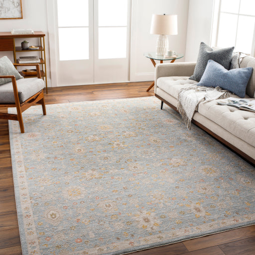 Avant Garde Rug - AVT2375 - Gray/Taupe/Blue